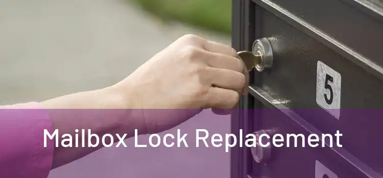  Mailbox Lock Replacement 
