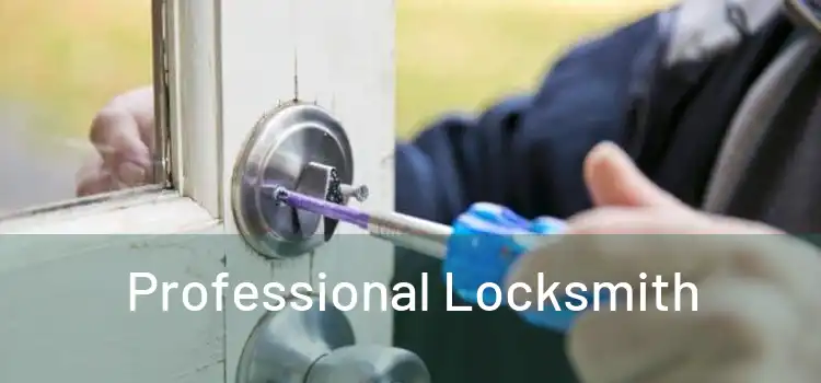  Professional Locksmith 